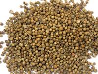 Hạt mùi với tác dụng phòng chống và chữa bệnh sởi cho trẻ em